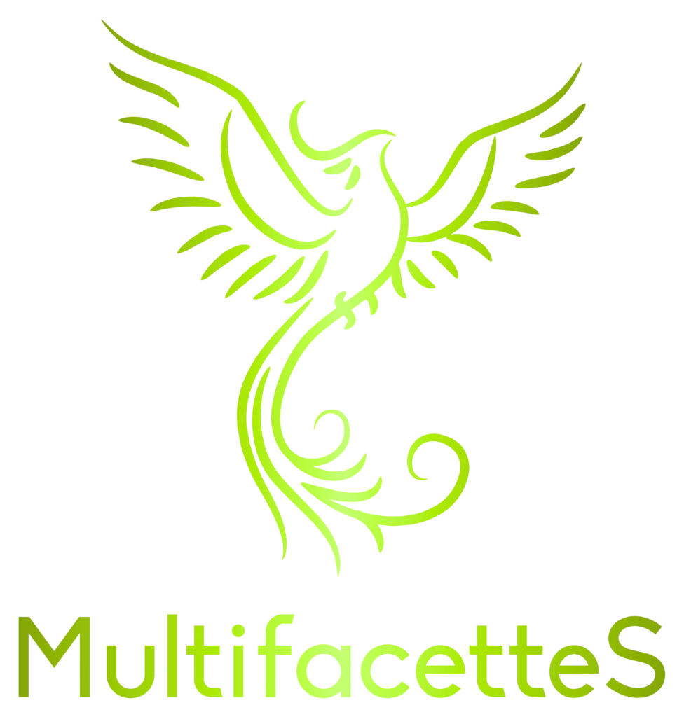 education multifacettes btoo sans fond (1)